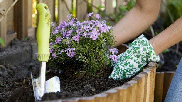 Ongebruikt 25 tips goedkoop tuin aanleggen of opknappen van je tuin CI-78